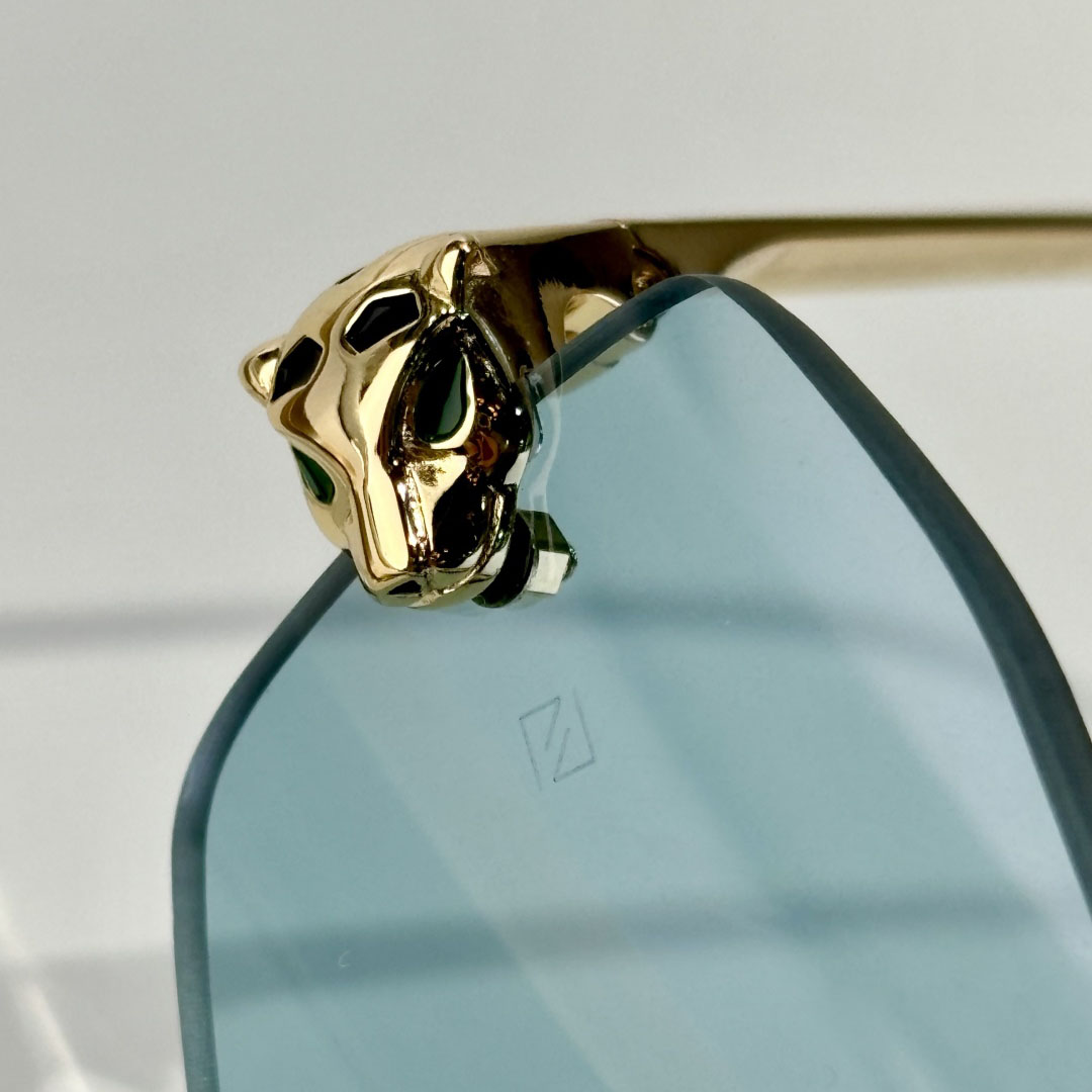 Cartier CT0474S Sunglasses    - PerfectKickZ