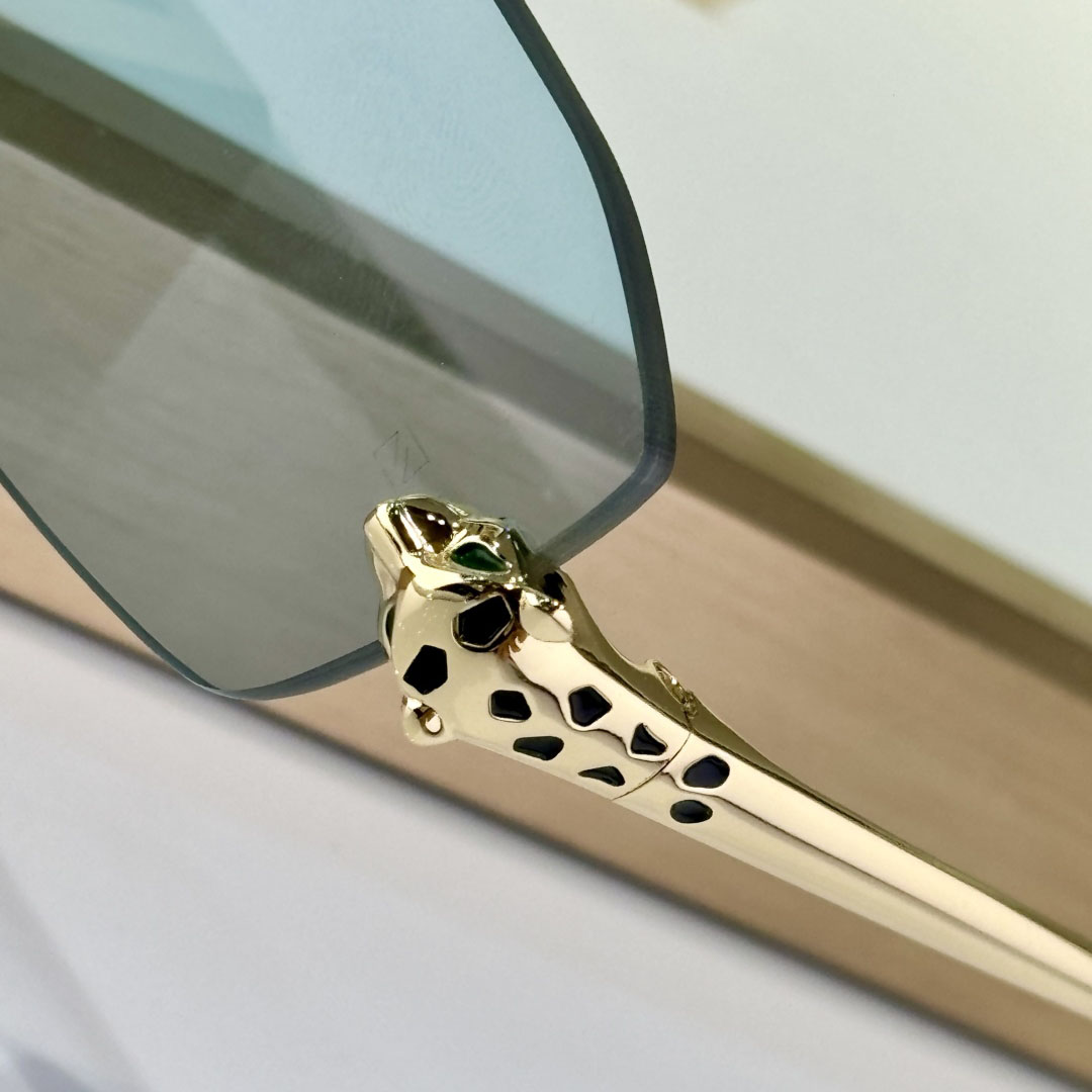Cartier CT0474S Sunglasses    - PerfectKickZ