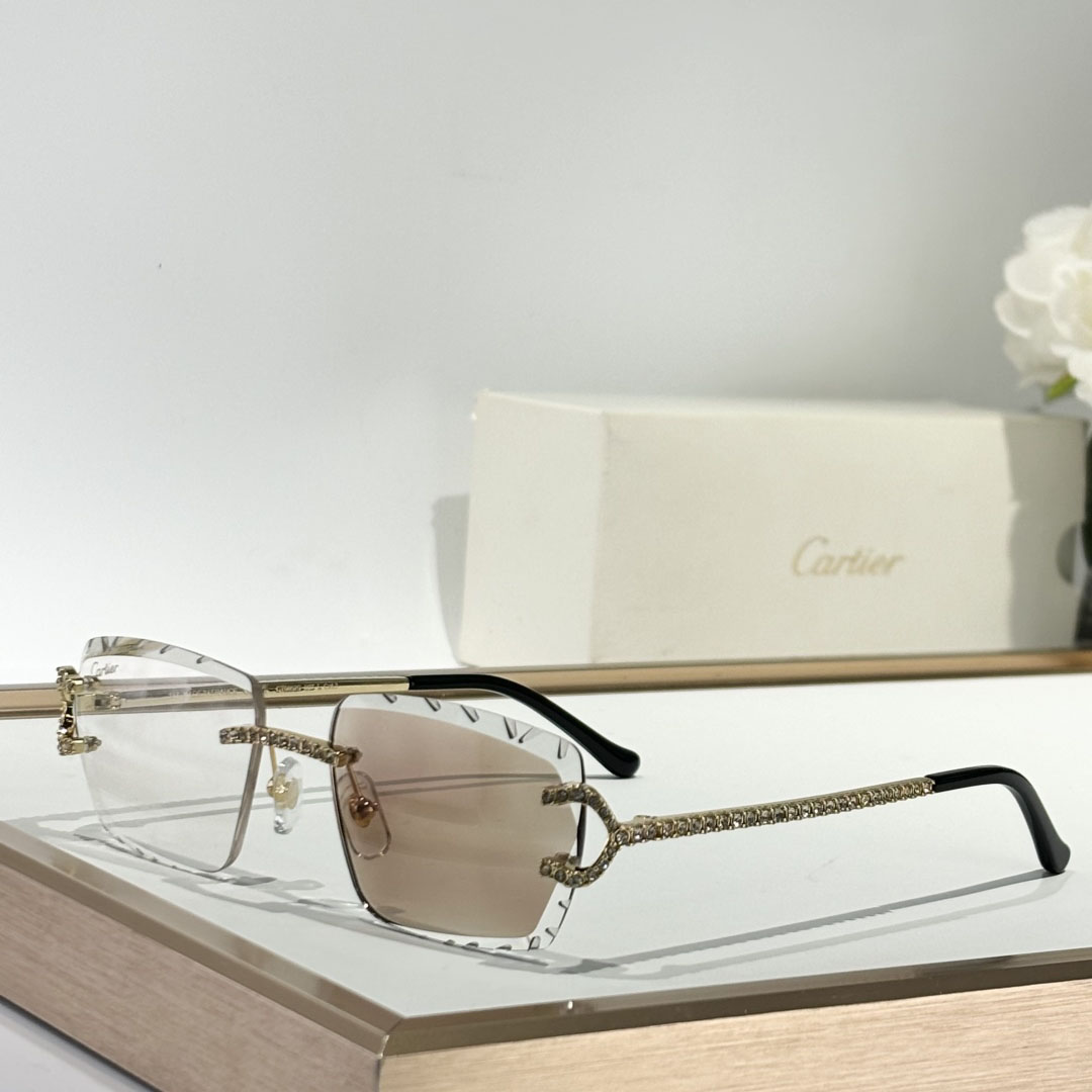 Cartier CT0662S Sunglasses    - PerfectKickZ