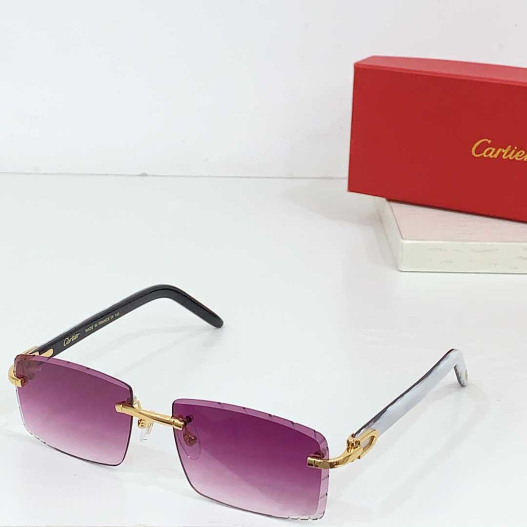 Cartier CT0243S Sunglasses    - 
