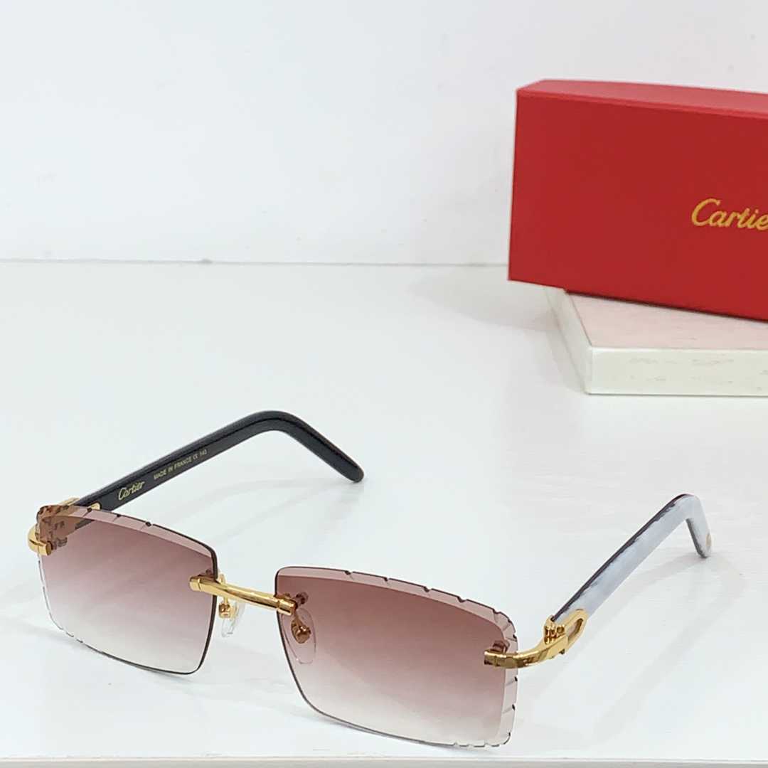 Cartier CT0243S Sunglasses    - 