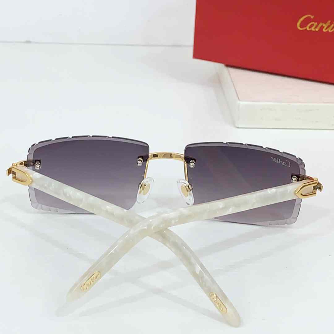 Cartier CT0243S Sunglasses    - 