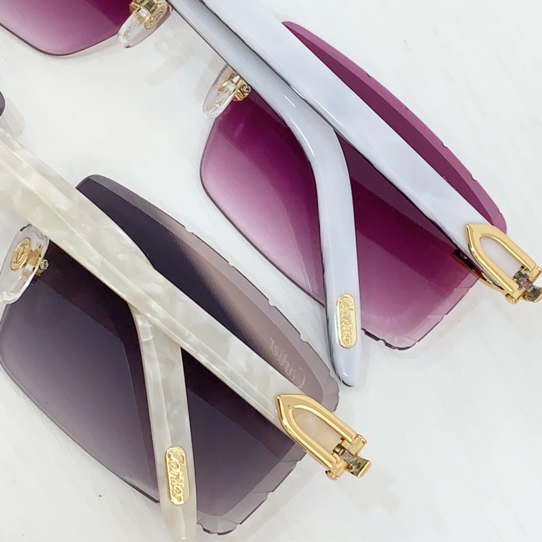 Cartier CT0243S Sunglasses    - 