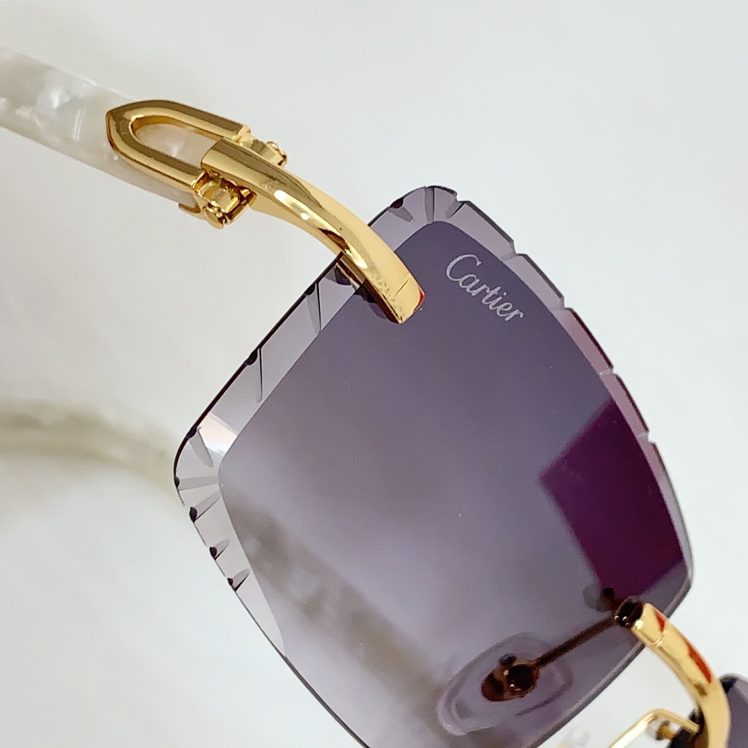 Cartier CT0243S Sunglasses    - 