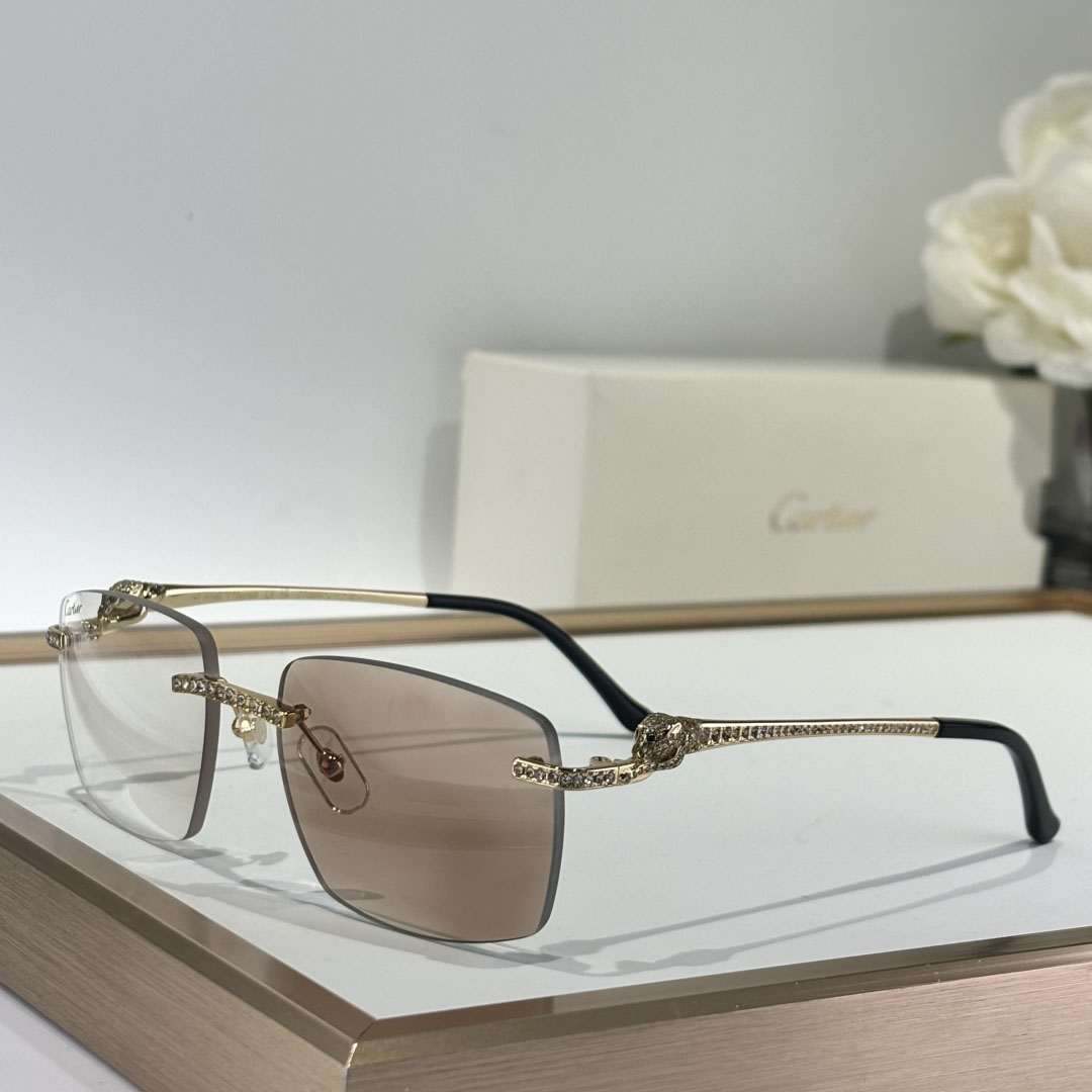 Cartier CT0663 Sunglasses    - PerfectKickZ