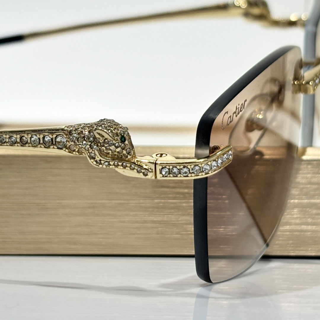 Cartier CT0663 Sunglasses    - PerfectKickZ