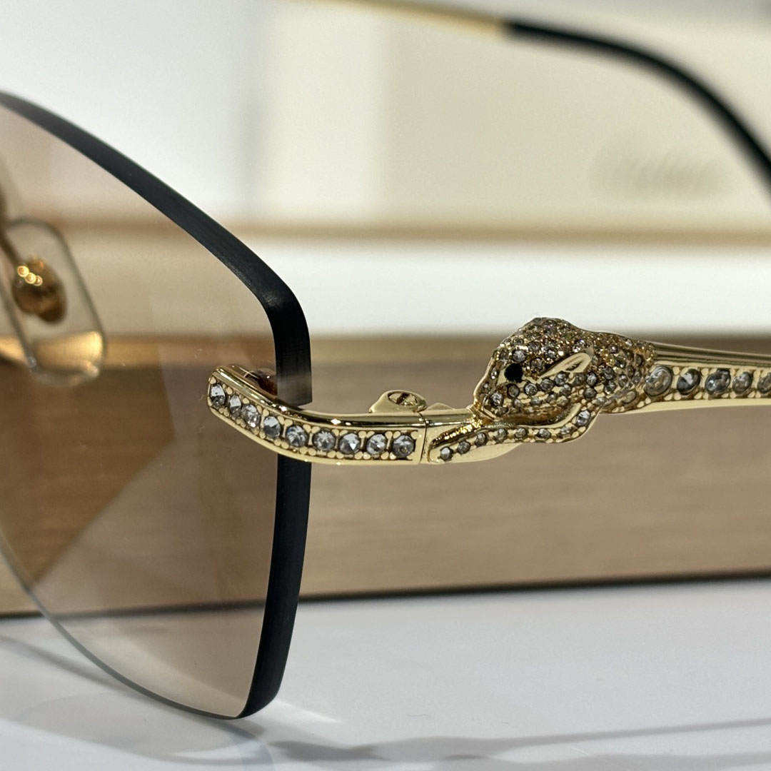 Cartier CT0663 Sunglasses    - PerfectKickZ