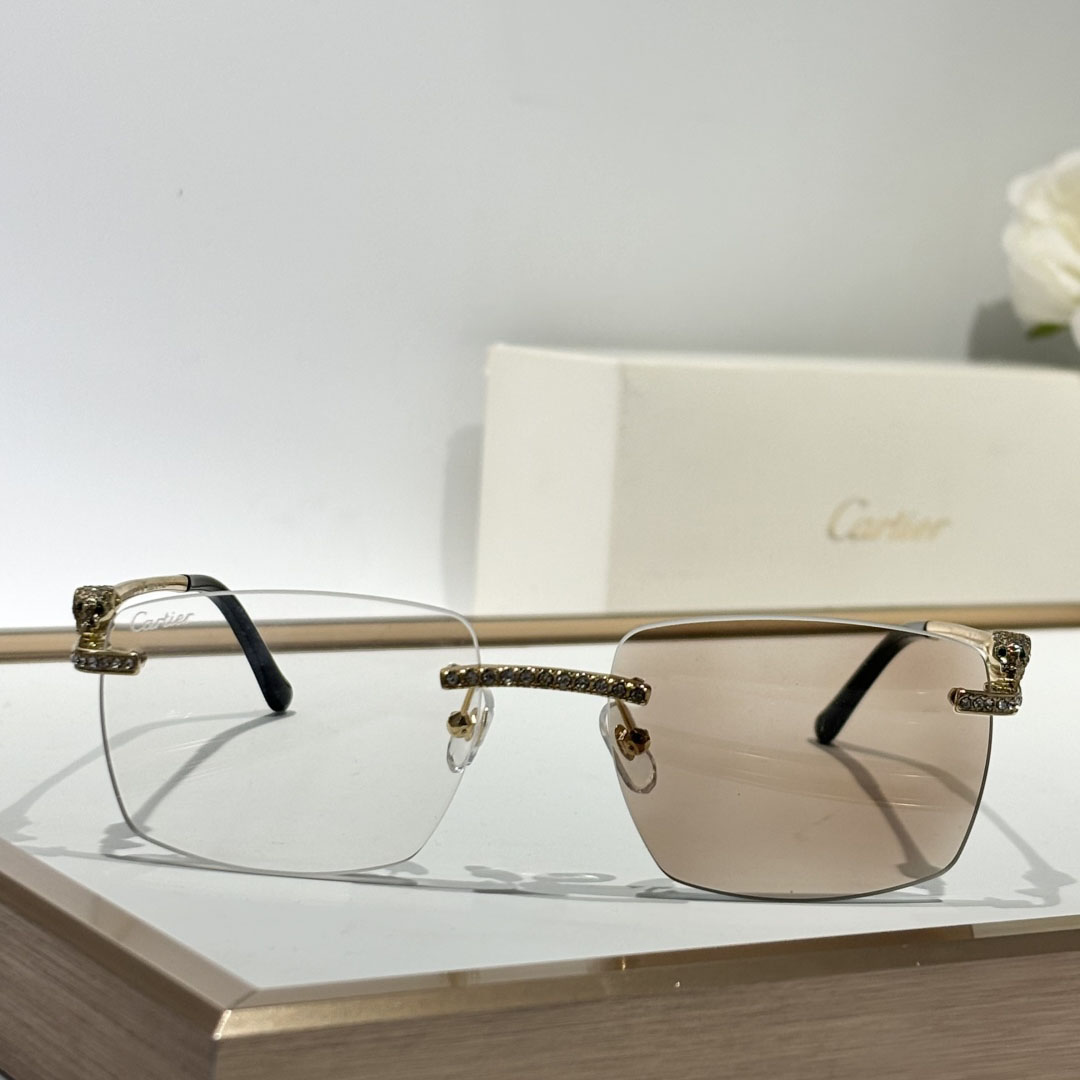 Cartier CT0663 Sunglasses    - PerfectKickZ