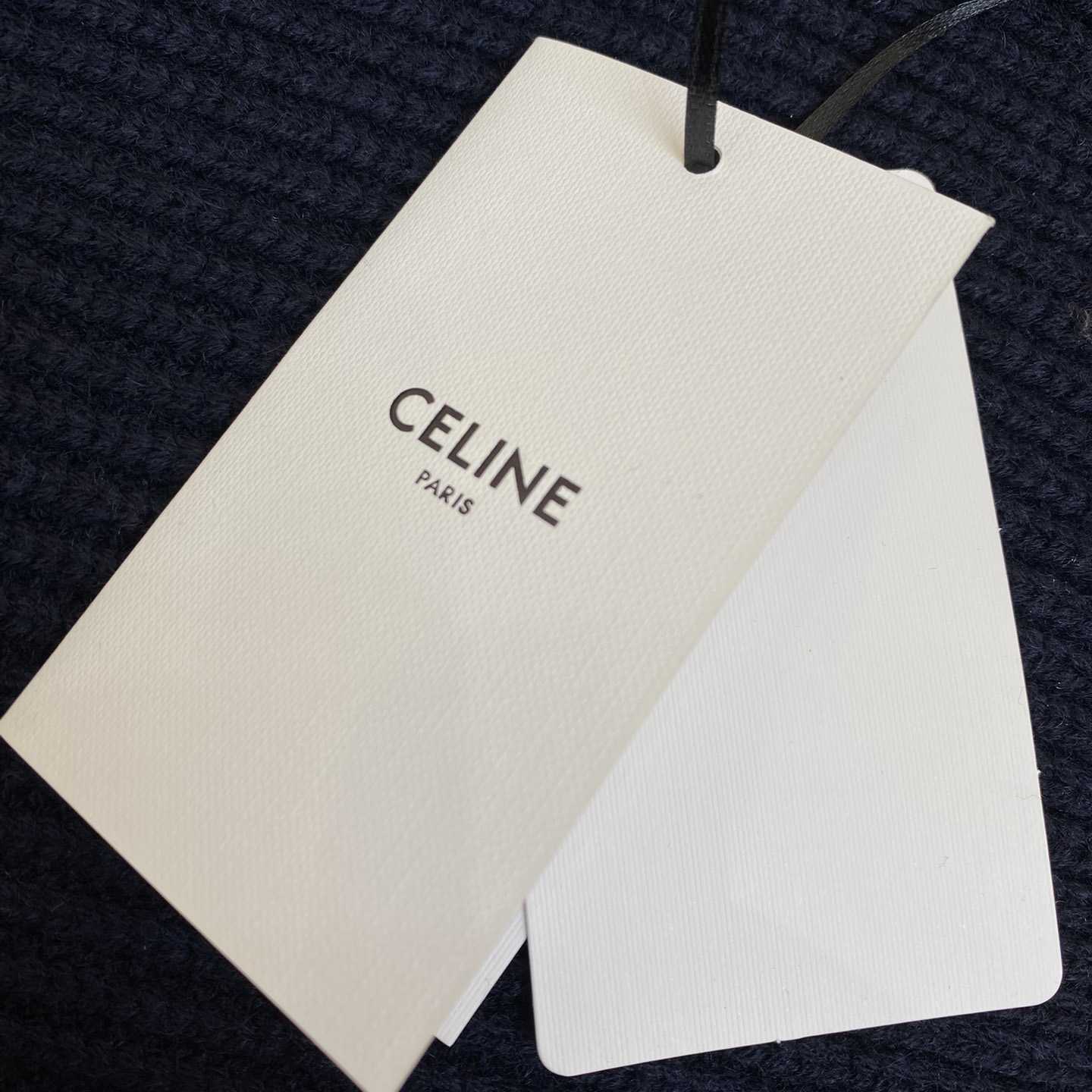 Celine College Hooded Sweater In Wool - PerfectKickZ