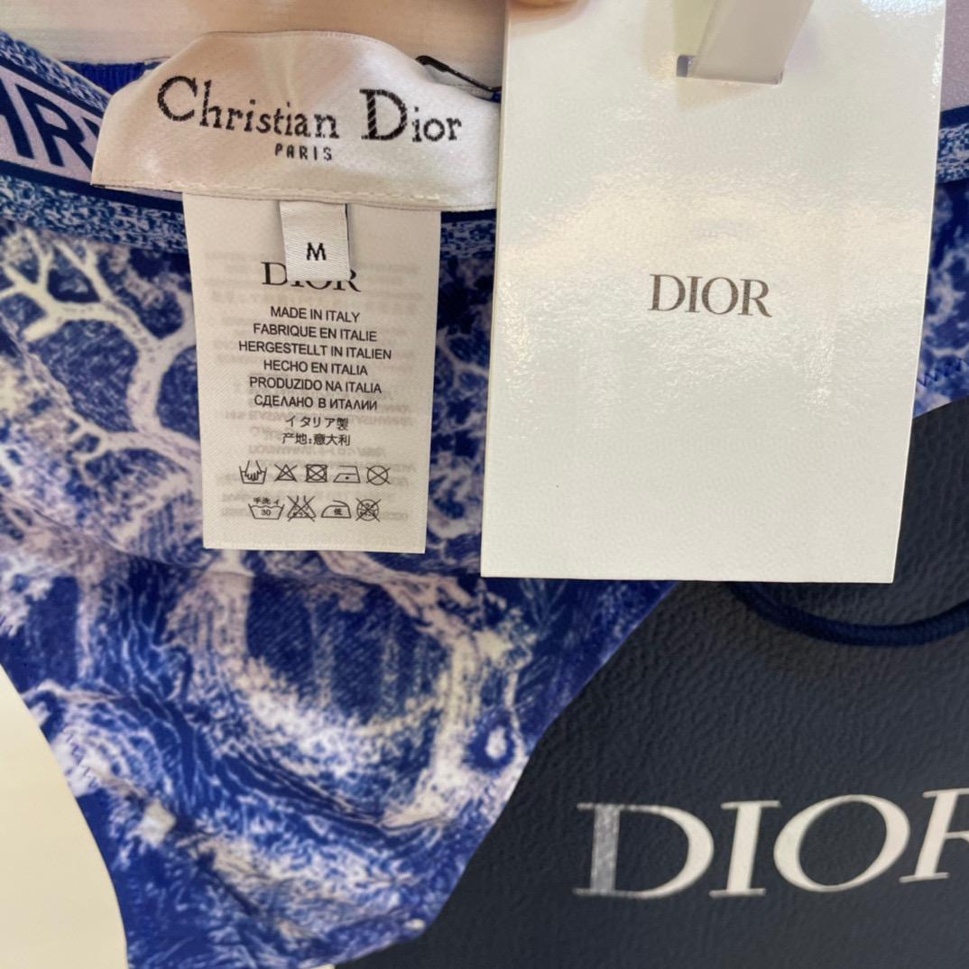 Dior Two Piece Swimsuit - PerfectKickZ