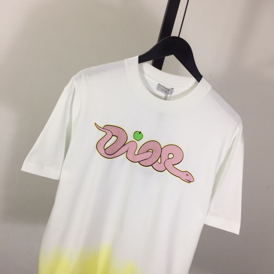 Dior Logo T-Shirt  - PerfectKickZ