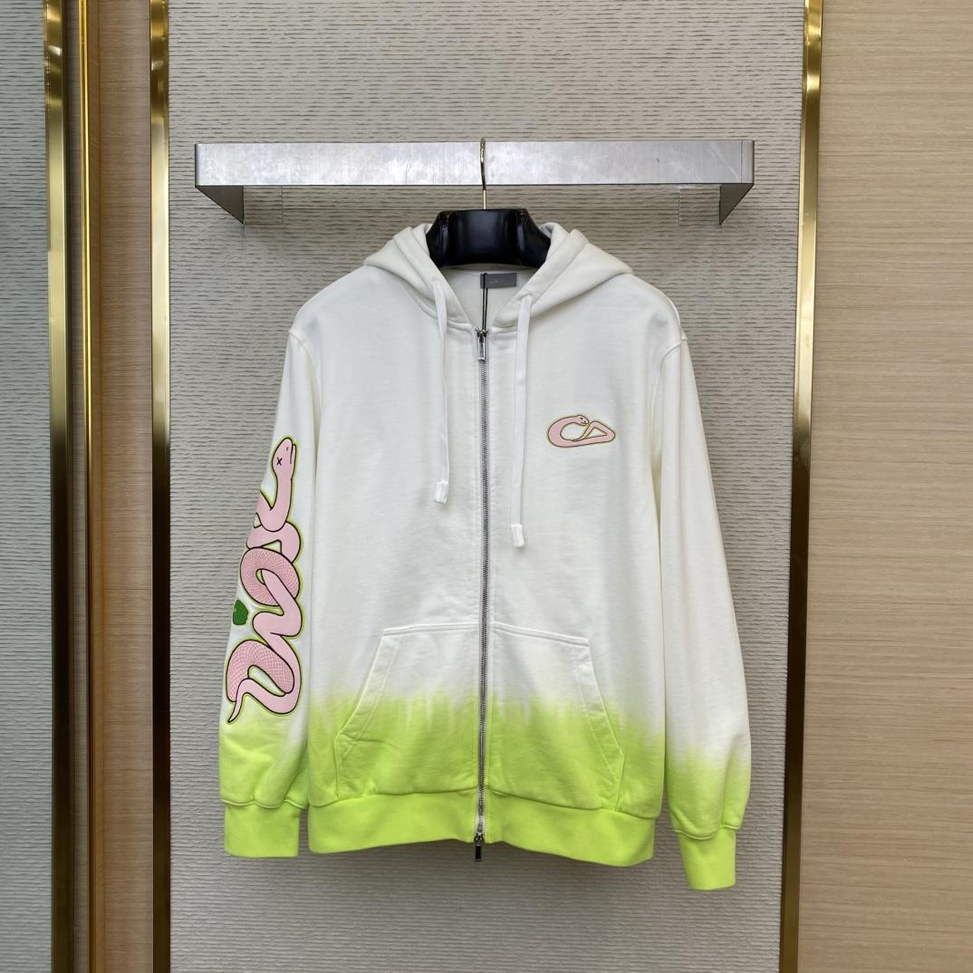 Dior And Kaws Hooded Sweatshirt - PerfectKickZ