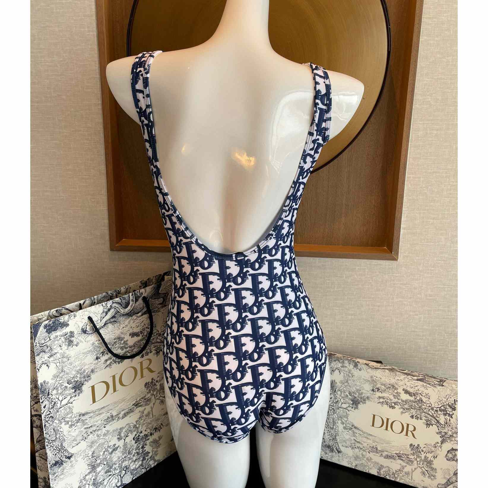 Dior One Piece Swimsuit - PerfectKickZ
