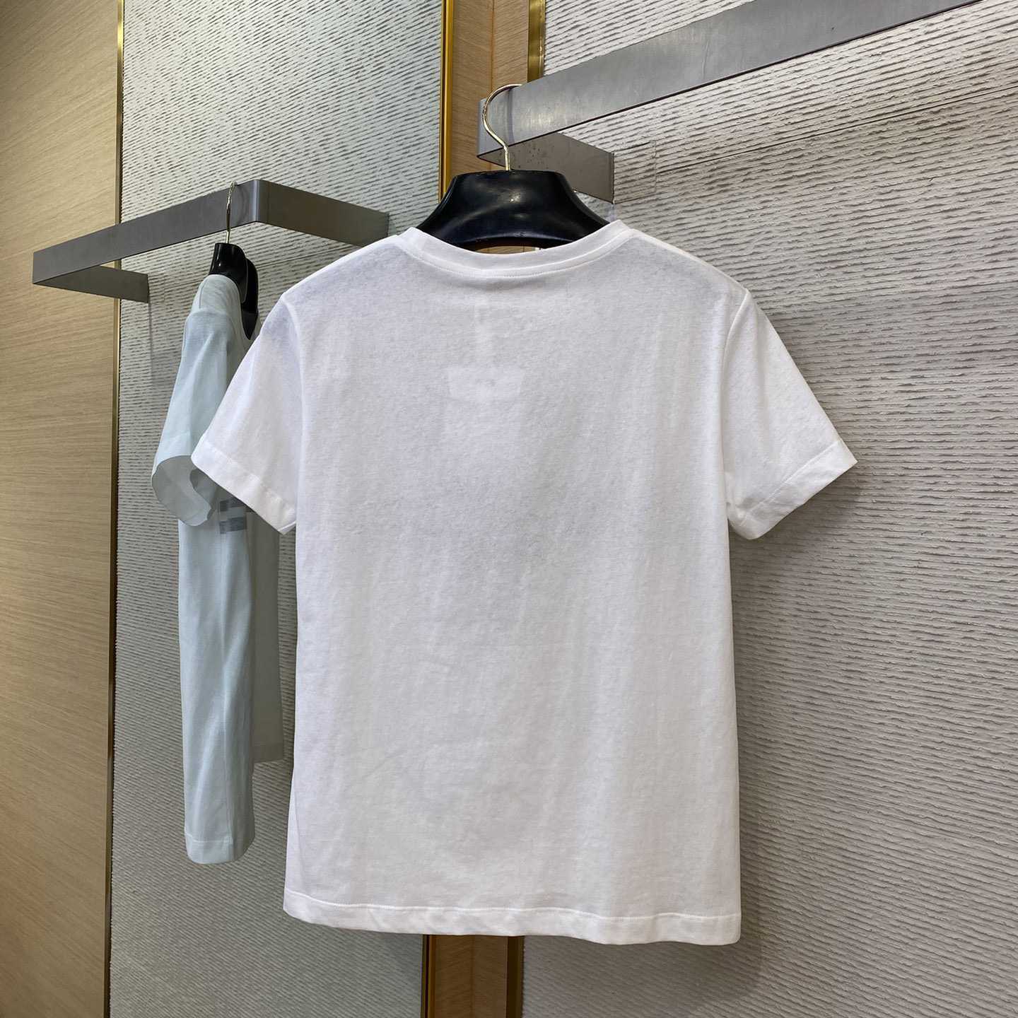 Dior T-Shirt  - PerfectKickZ