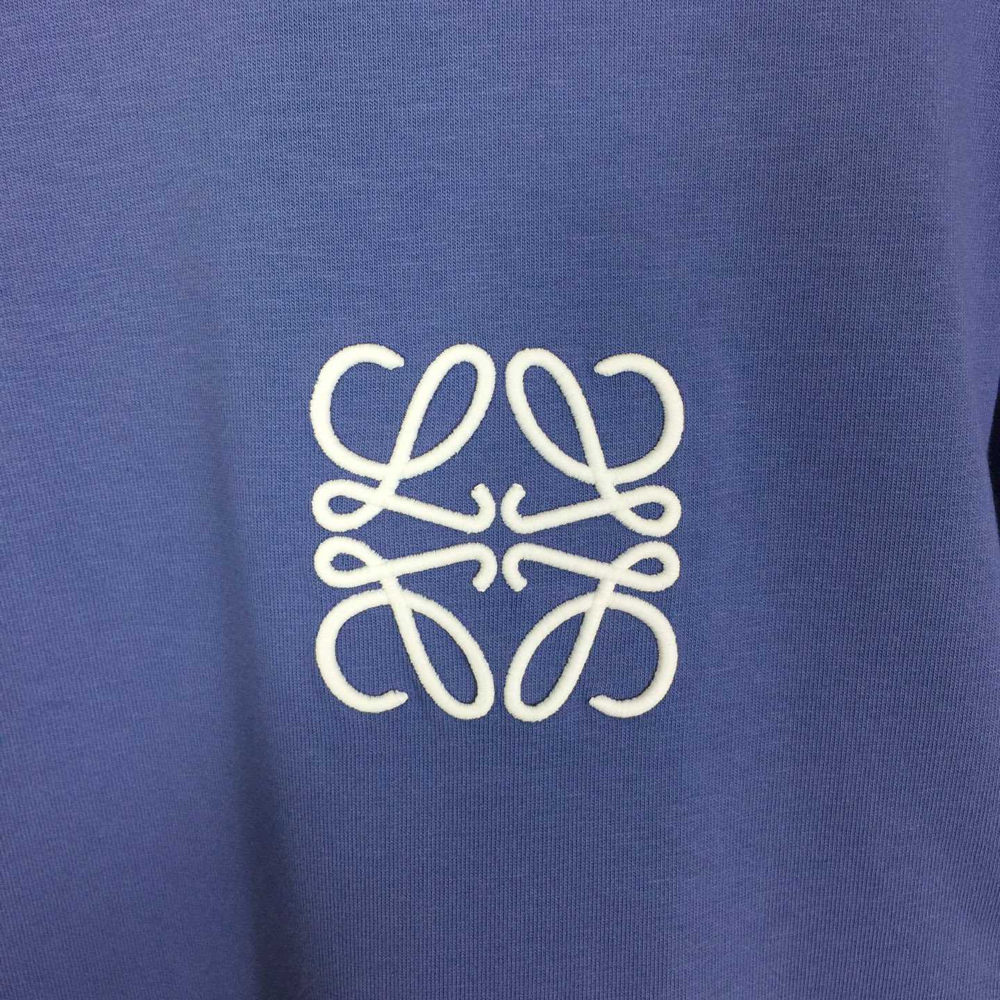 Loewe Loose Fit T-shirt In Cotton - 