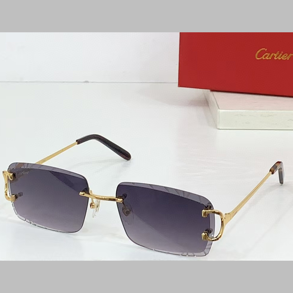 Cartier Sunglasses    - PerfectKickZ