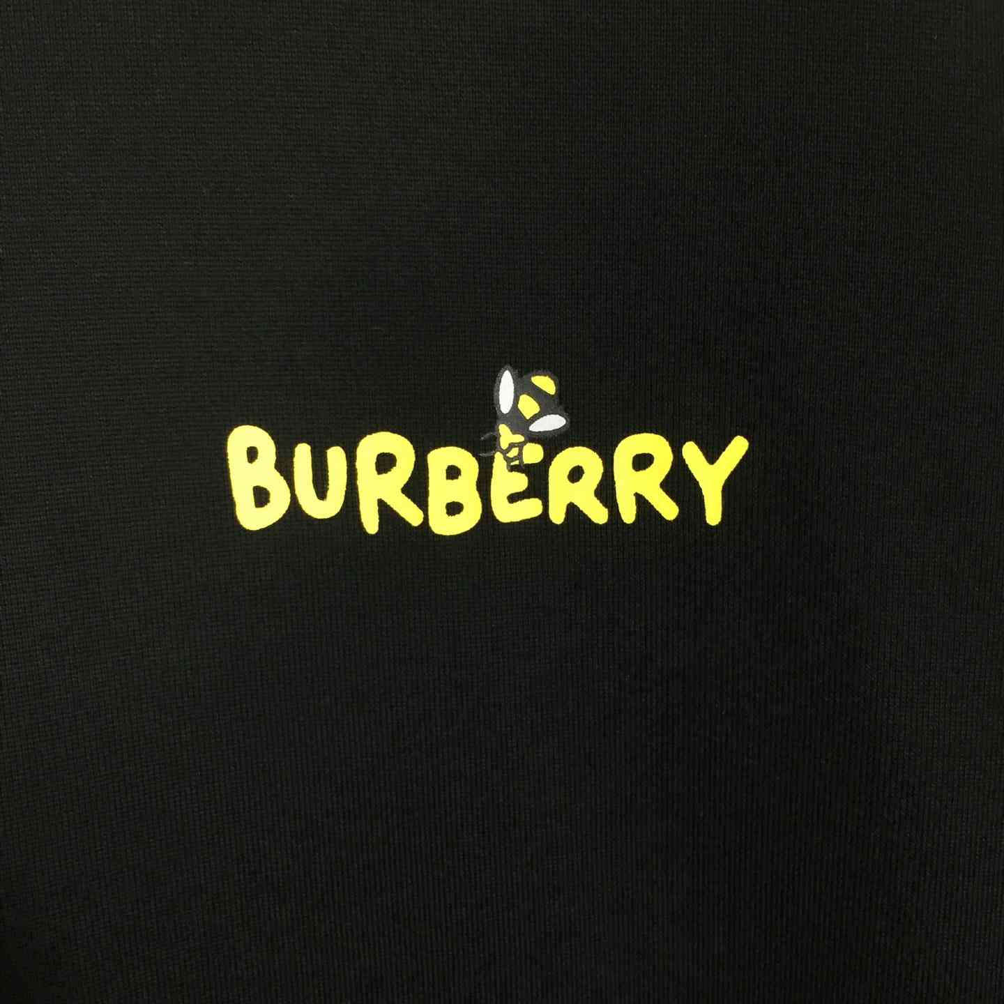 Dior T-shirt With Bee Print - PerfectKickZ