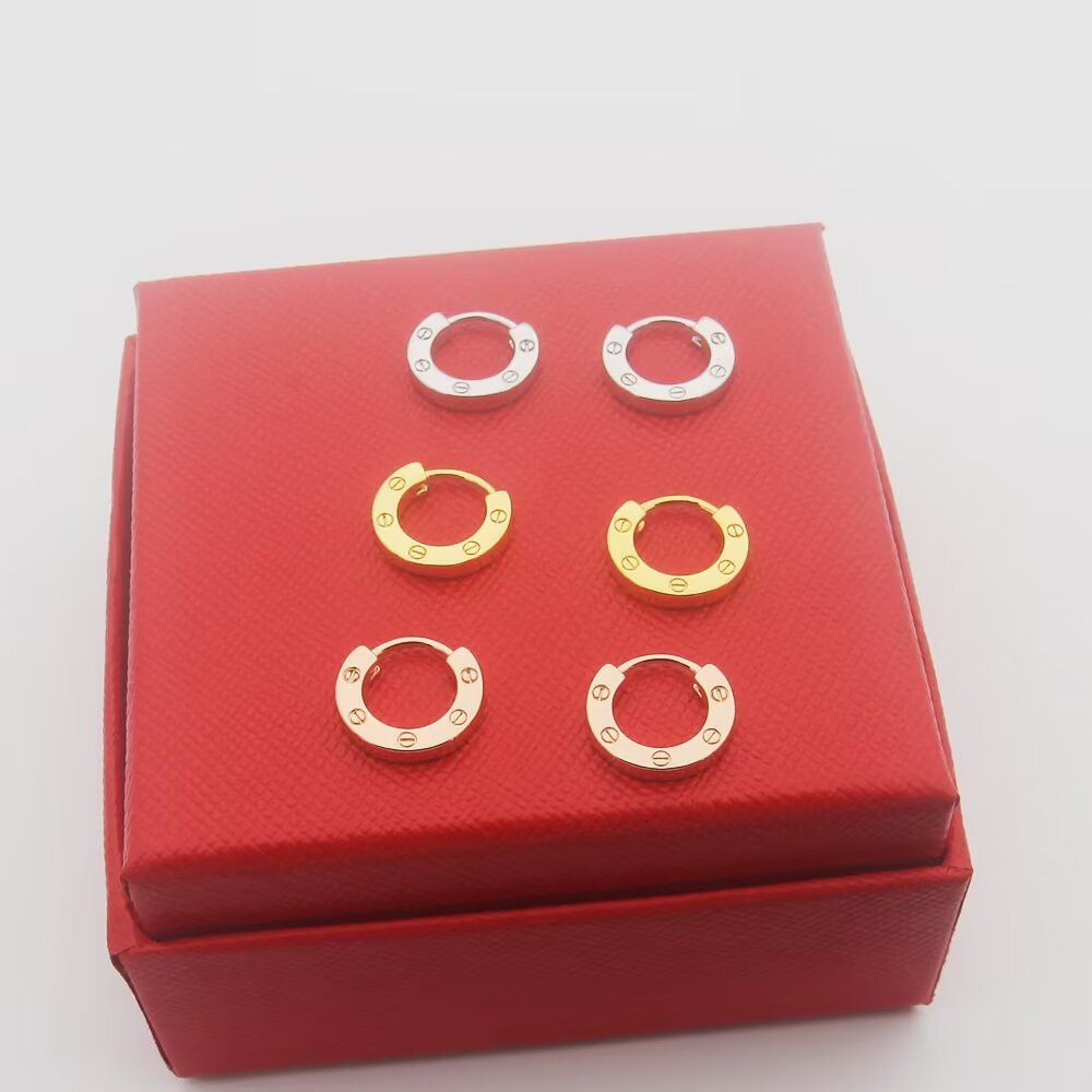 Cartier Earrings - PerfectKickZ