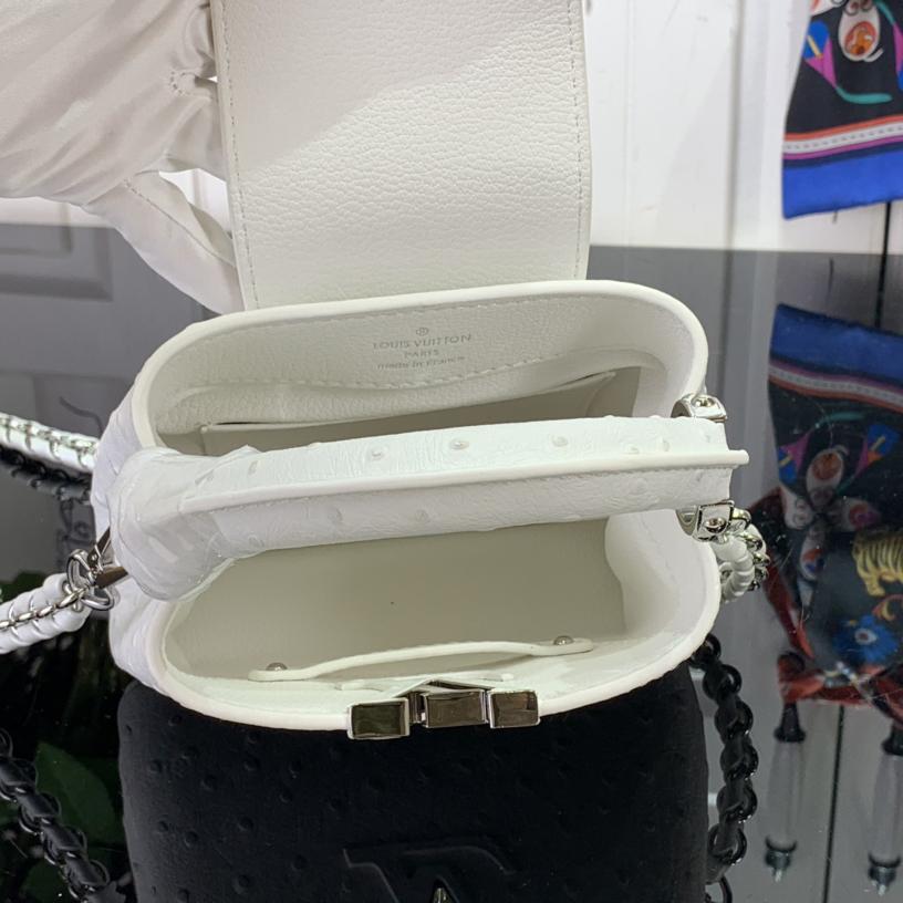 Louis Vuitton Capucines BB   M48865  16.3 x 11 x 6.5 cm - PerfectKickZ