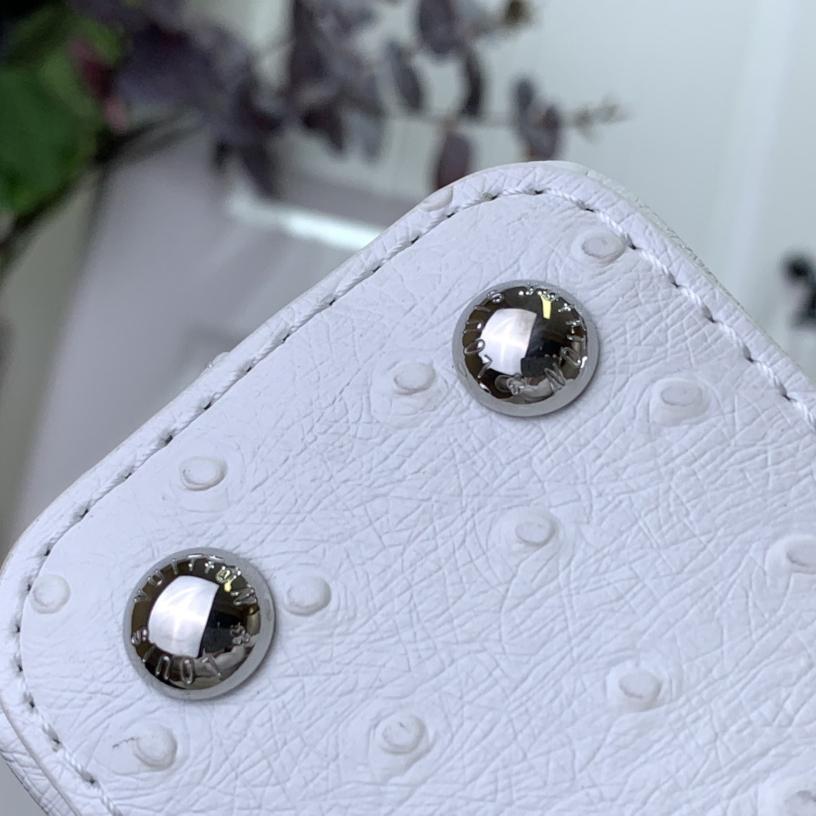 Louis Vuitton Capucines BB   M48865  16.3 x 11 x 6.5 cm - PerfectKickZ