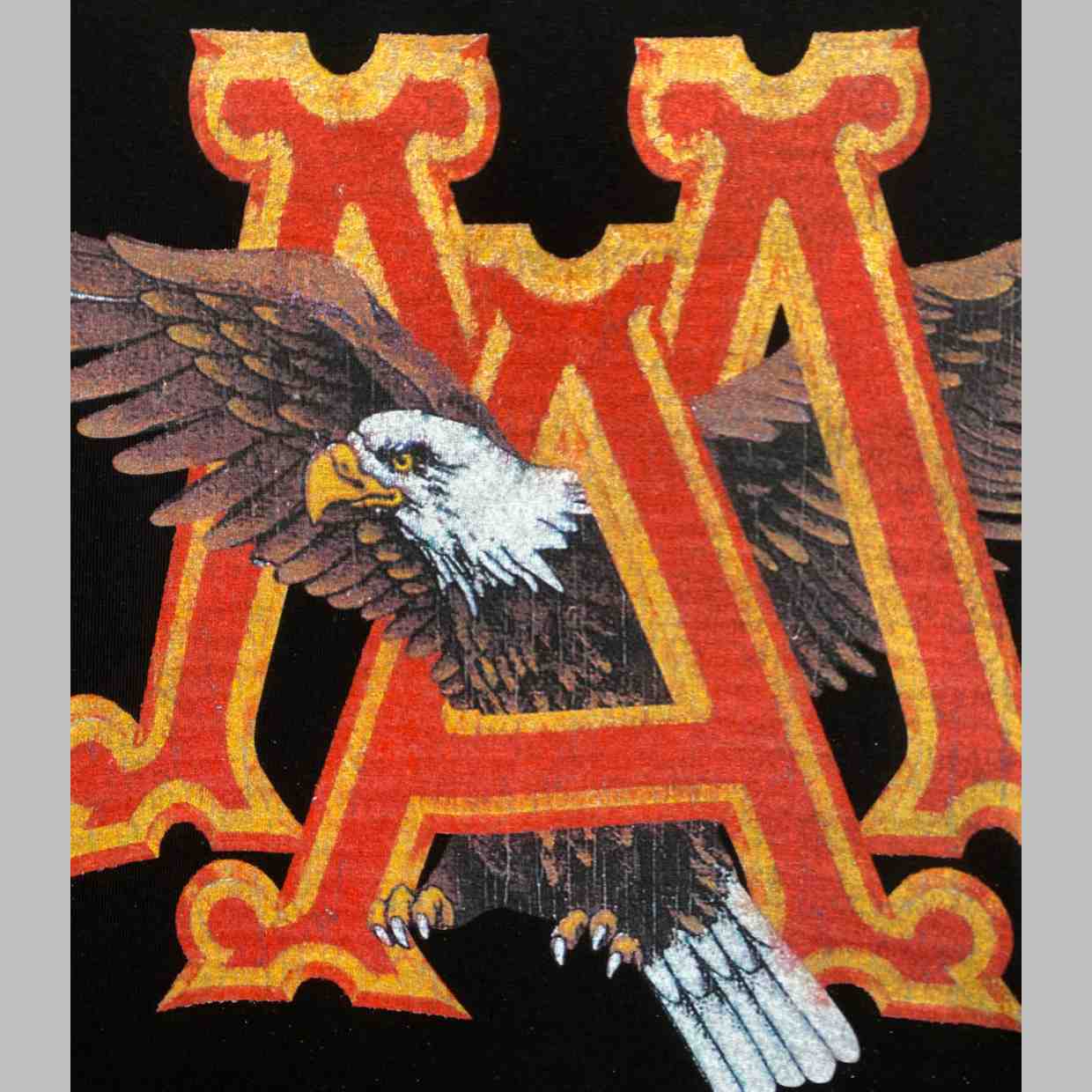 Amiri Vintage Ma Eagle Oversized Tee - PerfectKickZ