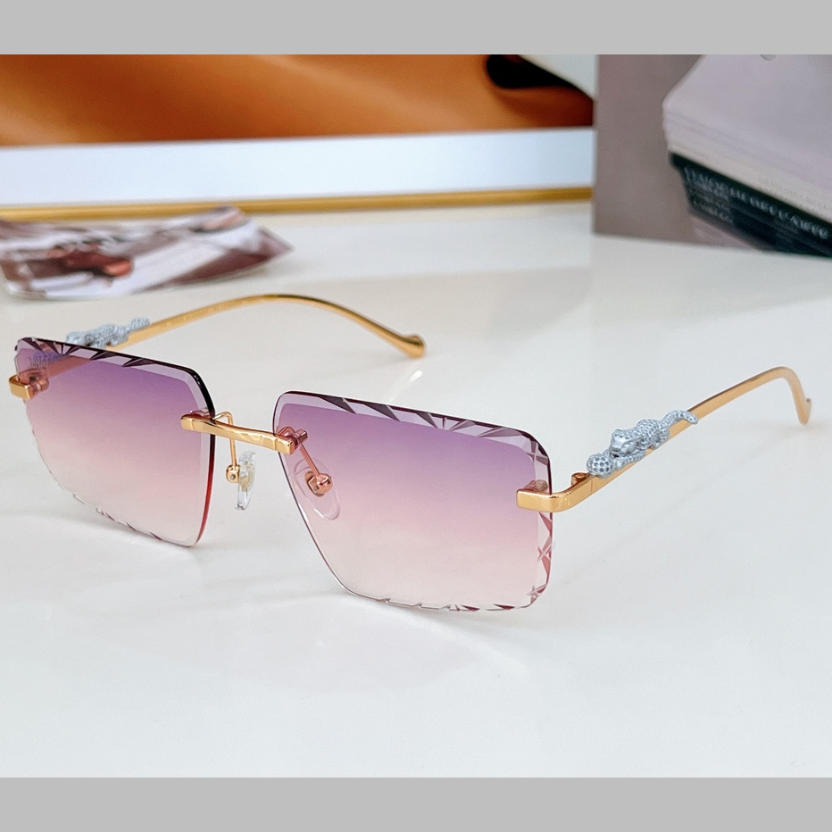 Cartier Sunglasses    - PerfectKickZ