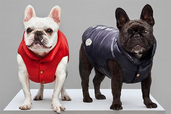 Ssense Launches Dogwear from 1017 ALYX 9SM, Moncler Genius, Heron Preston and More - PerfectKickZ